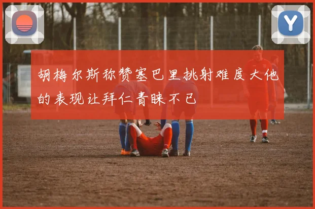 胡梅尔斯称赞塞巴里挑射难度大他的表现让拜仁青睐不已