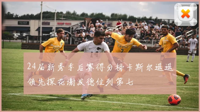 24届新秀季后赛得分榜卡斯尔遥遥领先探花谢泼德位列第七